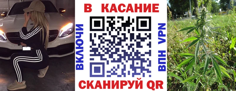 Какие есть наркотики Курган Галлюциногенные грибы  А ПВП  ГАШ  Кокаин  АМФ 