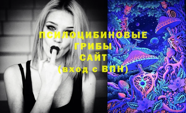 СК Бородино