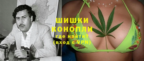 СК Бородино