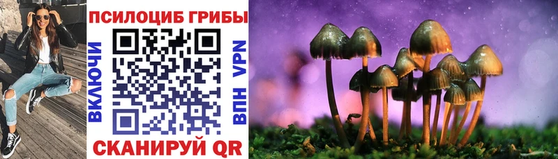 Псилоцибиновые грибы Psilocybe  продажа наркотиков  Курган 